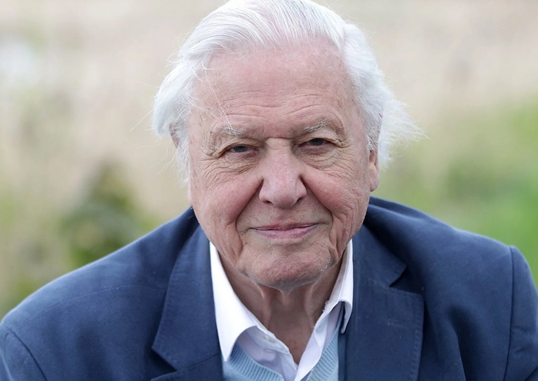 David Attenborough Net Worth