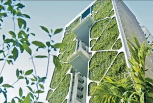 The Green Shift How Eco-Friendly Living is Reshaping Singapore's Urban Landscape