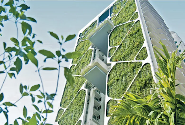 The Green Shift How Eco-Friendly Living is Reshaping Singapore's Urban Landscape